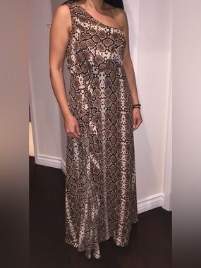 BCBGMaxAzria Brown Snake-Print Maxi Dress